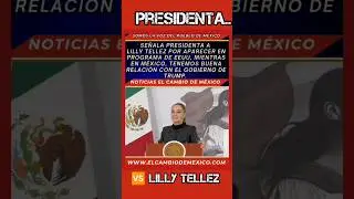 presidenta se&ntilde;ala a Lilly Tellez por sus mentiras ante Estados Unidos. #viral #viralvideo