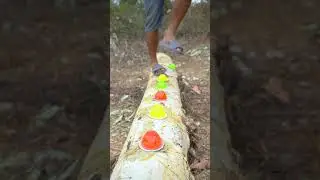Outdoorfood SIMPLE But USEFUL NEW IDEAS UNLOCKED Found Fafa Jelly in Forest #forest #survival Shorts