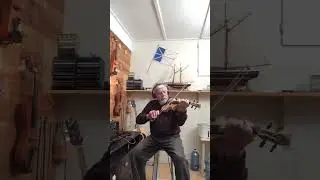 Mussels in The Corner. Played on fretted violin
