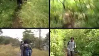 Karnala Trek