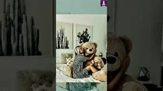 💞Teddy day special  full screen💖 WhatsApp status💗