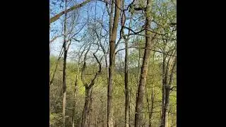 Spring 2021 Arrives at The Heritage Cabin, An Upscale Shenandoah Getaway