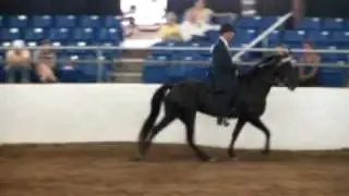 scottsdale video 4