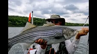 Kayak Sleigh Rides Are the Best - Kayak Fishing With Pastor Murray  -Episode  7