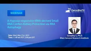 A hypoxia-responsive tRNA-derived small RNA confers kidney protection via RNA autophagy