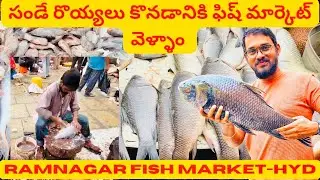 సండే రొయ్యలు 🦐 🦐 కొనడానికి 🐟 🐟ఫిష్ మార్కెట్ వెళ్ళాం | Ramnagar Fish Market Vlog | Hyderabad |