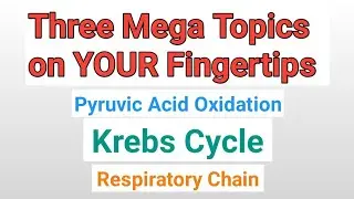 Krebs Cycle | Pyruvic Acid Oxidation | Respiratory Chain | Amjad Umer Academy