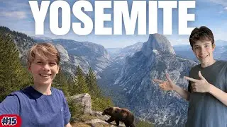 BÄR-SICHTUNG im Yosemite Nationalpark! 😱