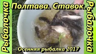 Полтава. Ставок. Рыбалка 2017 и Кот