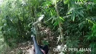 The best compilation of target 🐷 shooting at close range // babi hutan jarak dekat