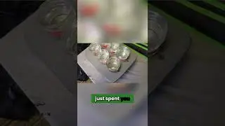 2 Secrets for Germinating Seeds (Autoflower Seed to Harvest)