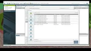 Newforma   002 Transmittal's