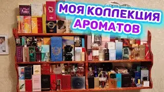 ВСЯ КОЛЛЕКЦИЯ АРОМАТОВ / ХРАНЕНИЕ АРОМАТОВ