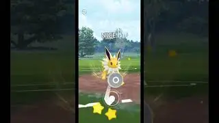 Jolteon DOMINATES the COLOR CUP | ColorCup Team | Great League Team | Pokemon GOBattle League