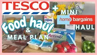 BUDGET TESCO FOOD HAUL & MEAL PLAN + MINI HOME BARGAINS HAUL