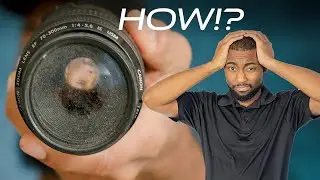 Чистый ли ваш объектив? Снимок сделан объективом Canon 70-300 EF IS USM.