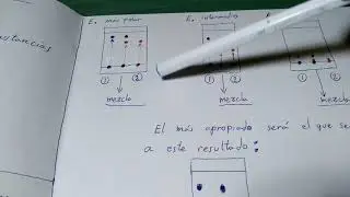 Cromatografía en papel : 1) Teoría