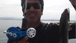 Everoll VJ6 light jigging 17.05.12 .mp4