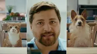 PetSmart Kitchen featuring Blue Buffalo