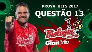 O CICLO DE VIDA VEGETAL - PROVA UEFS 2017 QUEST&Atilde;O 13