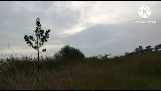 salam santun ti kluarga panguras guyub rukun sauyunan.... paguras anjay.....