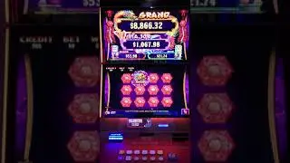 #CASINO #PITSTOP #JACKPOT #MINI