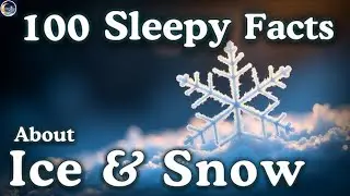 The Most Relaxing Facts About Ice & Snow to Fall Asleep To
