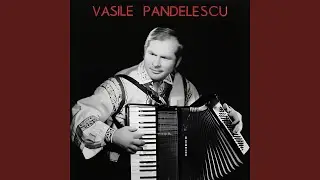 Brâul De La Bogați