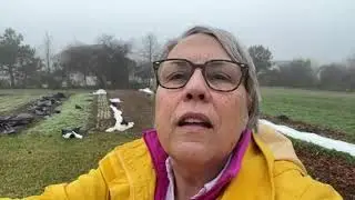 Cool Flowers Survival Story
