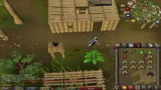 How To Make Uncut Zenyte