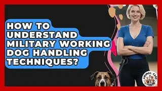 How To Understand Military Working Dog Handling Techniques? - Animal Care Jobs