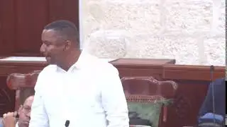 97th Sitting of the First Session of the 2022-2027 The Honourable House of Assembly (Feb 7, 2025)P2