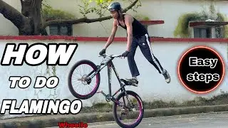 HOW TO DO FLAMINGO WHEELIE 🔥🔥 in Hindi 
