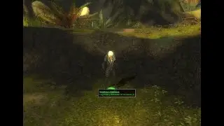 🎄Christmas Giveaway🎁 Guild Wars: Reforged (Prophecies - Campaign: Necromancer)