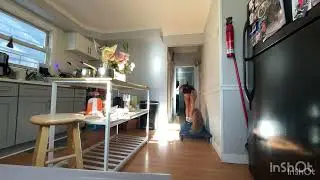 DOG TRAINING | OFF LEASH K9 TRAINING | MANHATTAN DOG TRAINER | MINI POODLE SUNNY BUNNY!