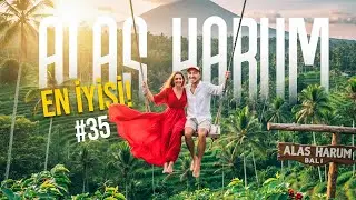 Bali Alas Harum: Dev Salıncak Fiyatları ve En İyi Manzara! (Gezilecek Yerler Rehberi)