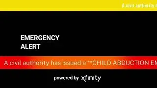 Amber Alert during Work It Out Wombats [2023]