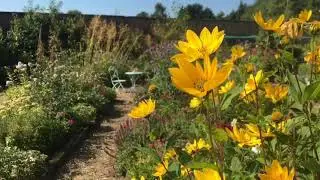 The Walled Garden - Aug-19 #VideoWalks