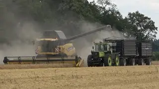 NEW HOLLAND CR 8080 am Gerste dreschen / VALTRA T215 & MB trac 1800 / Ernte 2024 / SOUND 4K