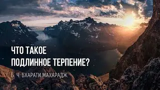 Что такое подлинное терпение? | Б. Ч. Бхарати Махарадж