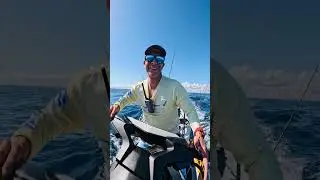 Pod of Dolphins while trolling. Dolphins. FishPro Trophy  @Seadoo @GoPro @NatGeo @NatGeoAnimals 