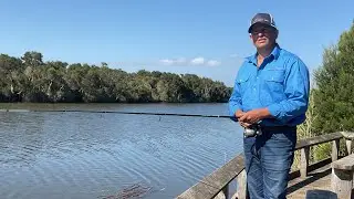 Parma and Pony Life | Tarwin Lower | Riverview Hotel