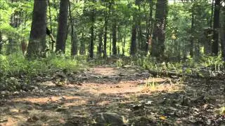 Competitive Cyclist Reviews Easton EC90 XC Wheelset