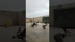 Daily routine short clip and daily live stream / my pets video watch like comment  and feedback