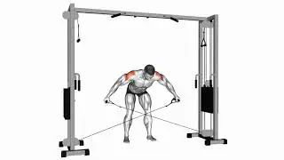 Cable Cross over Reverse Fly： An Exercise Guide 01541201 Cable Cross over Revers Fly Shoulders