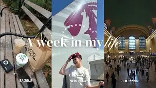 Qatar Airways flight attendant | Week in my life | Ep 08 | Silent Vlog
