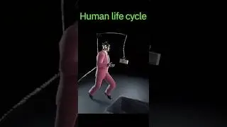 HUMAN LIFE CYCLE Secrets Revealed!