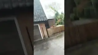 See You Later