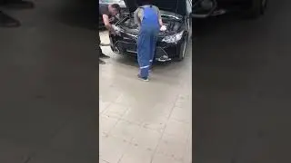 An unusual service at the mechanic's car found a rabbit hidden next to the refrigerator