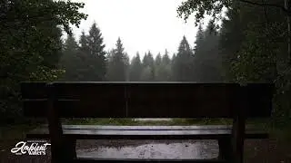 Soothing Rain Sounds on a Park Bench - Light Rain for Sleeping, Meditation, Studying, Relaxing.